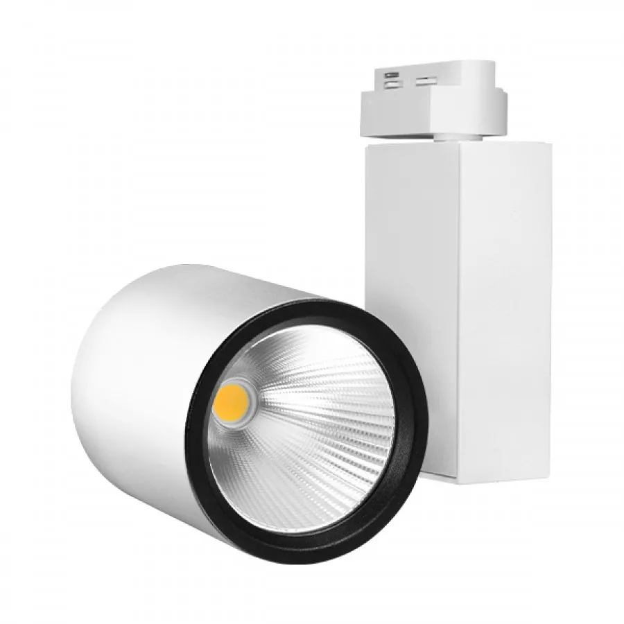 Braytron 30w Beyaz Ray Spot Monofaze Soketli - BD30-002